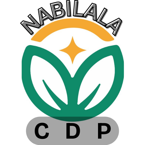 Nabilalacdp